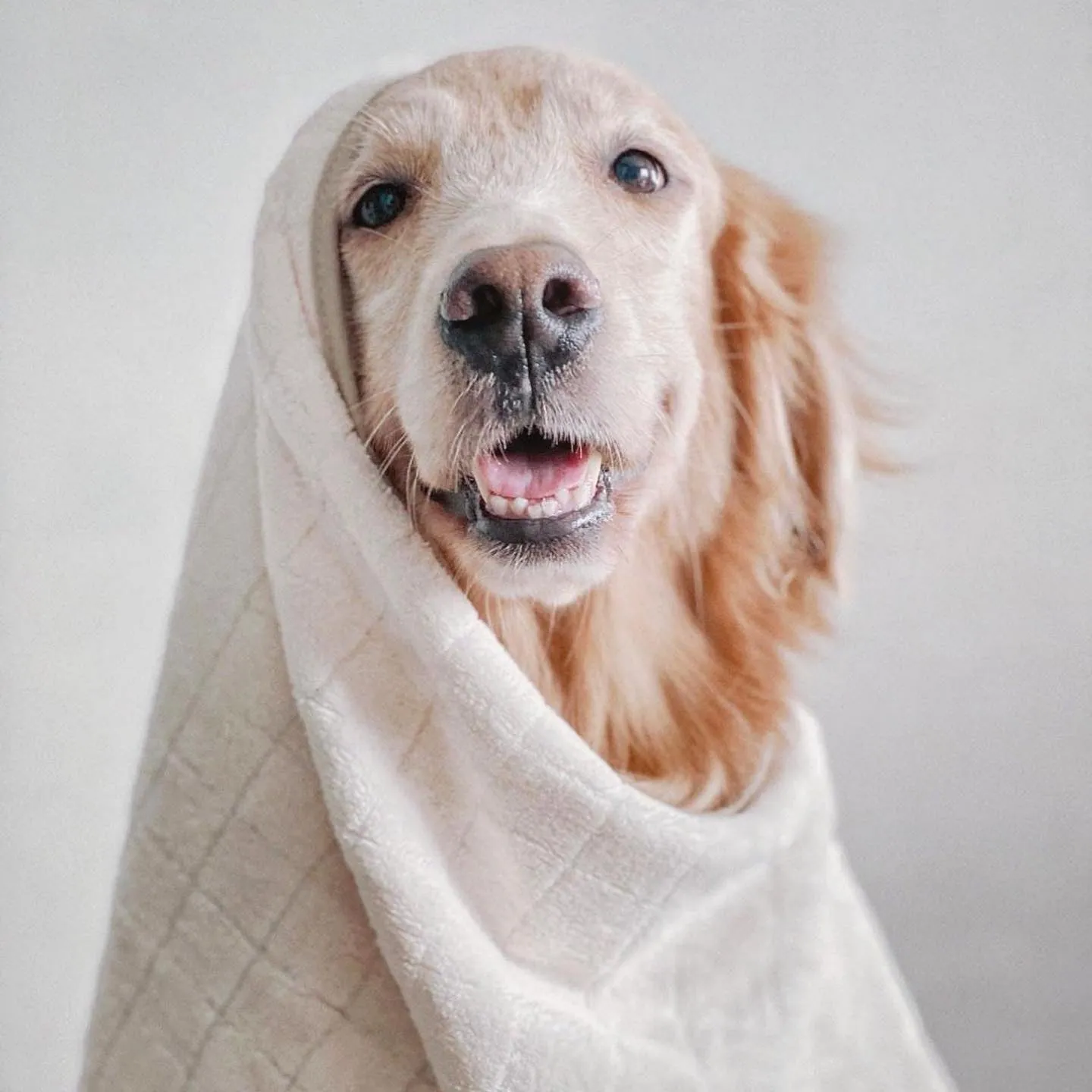 Baby Fleece Towel
