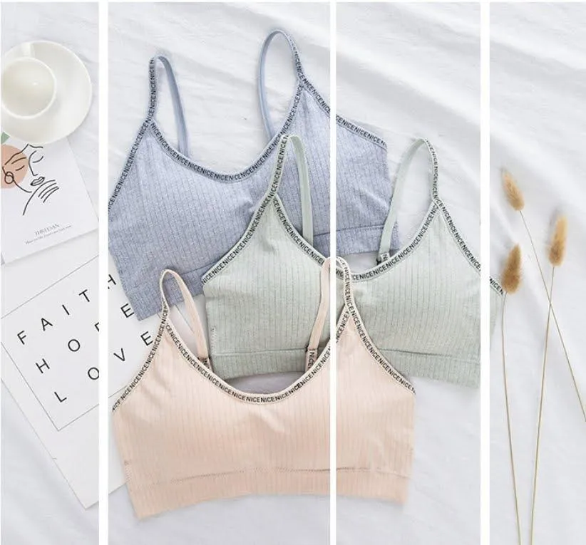 Ladies Jogging Bra - Sports Bra -Sports Bra - Padded Sports Bra