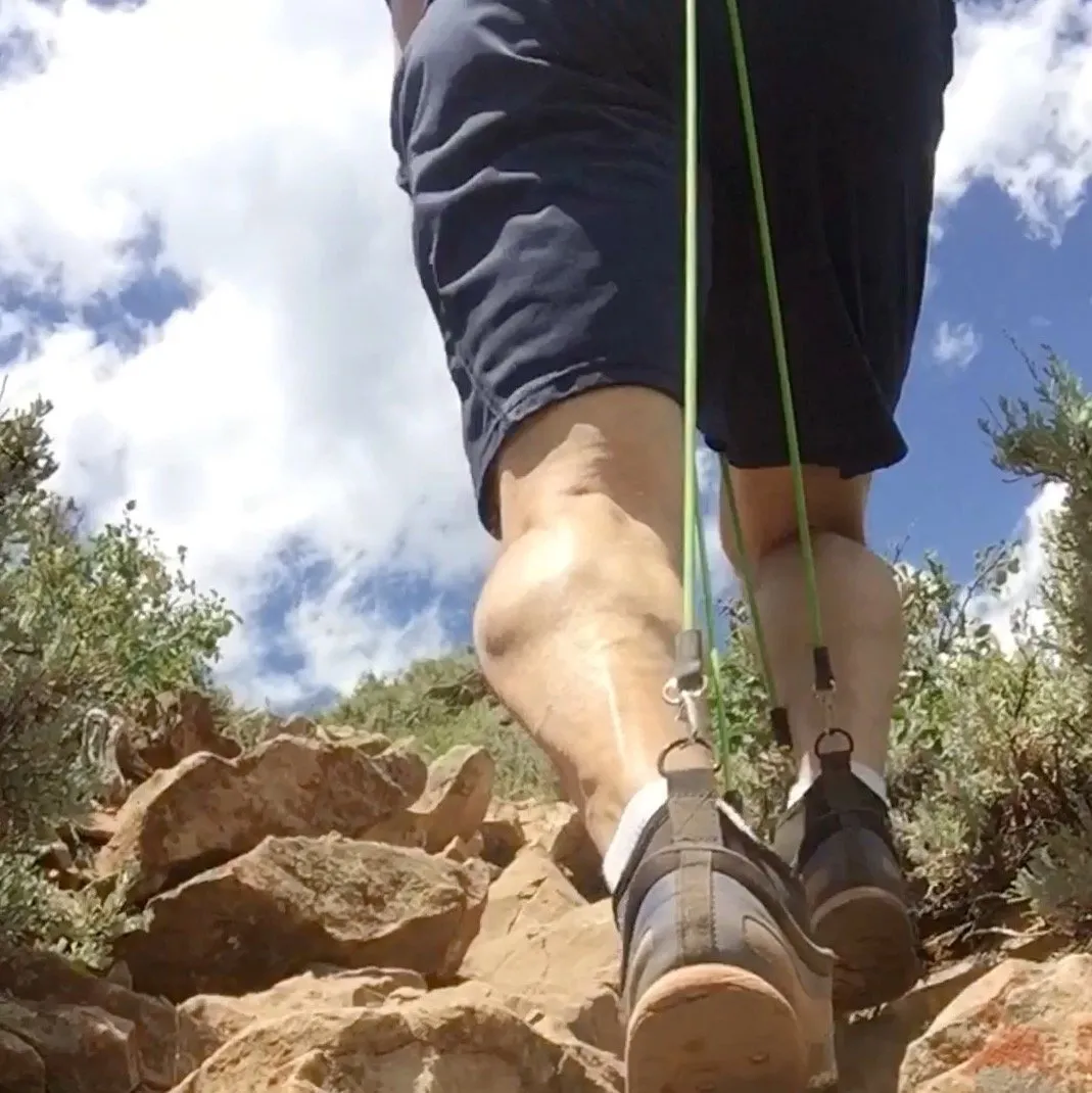 ·Wearbands Full-Body Training System Pro: 5 Lower-body levels, 2 Upper-body levels·